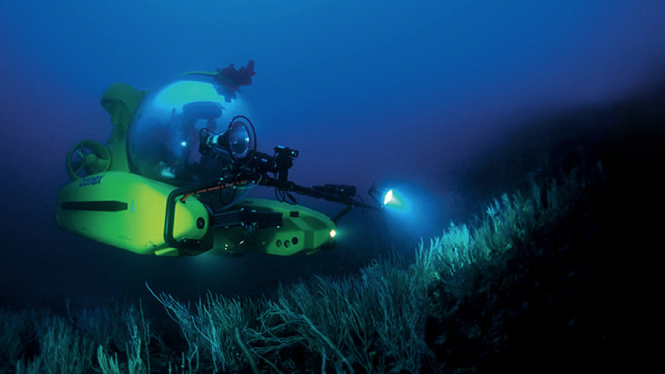 Diving To The Bottom Of River And Ocean